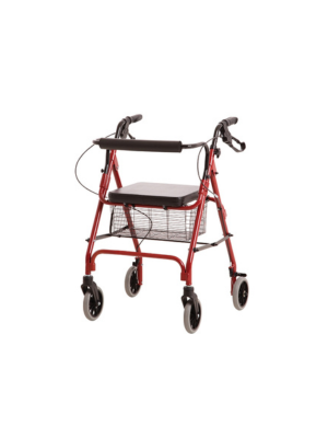 Economy With Care Rollator