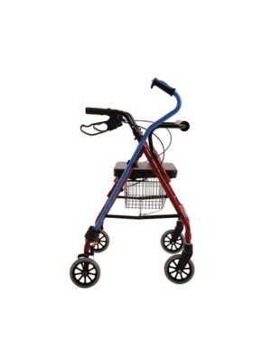 Walking Cane Holder